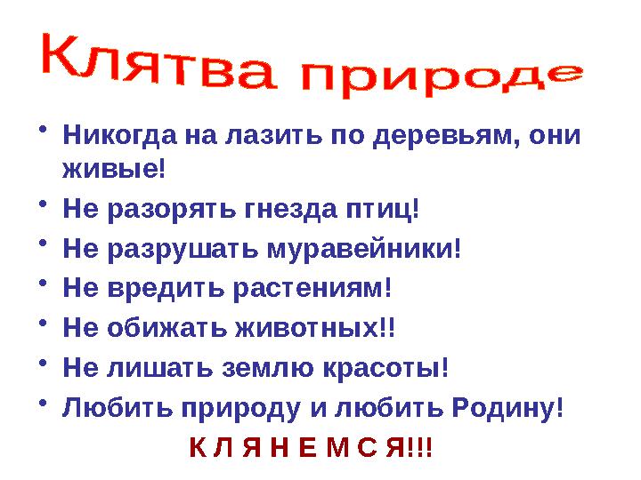 •Никогда на лазить по деревьям, они живые! •Не разорять гнезда птиц! •Не разрушать муравейники! •Не вредить растениям! •Не обиж