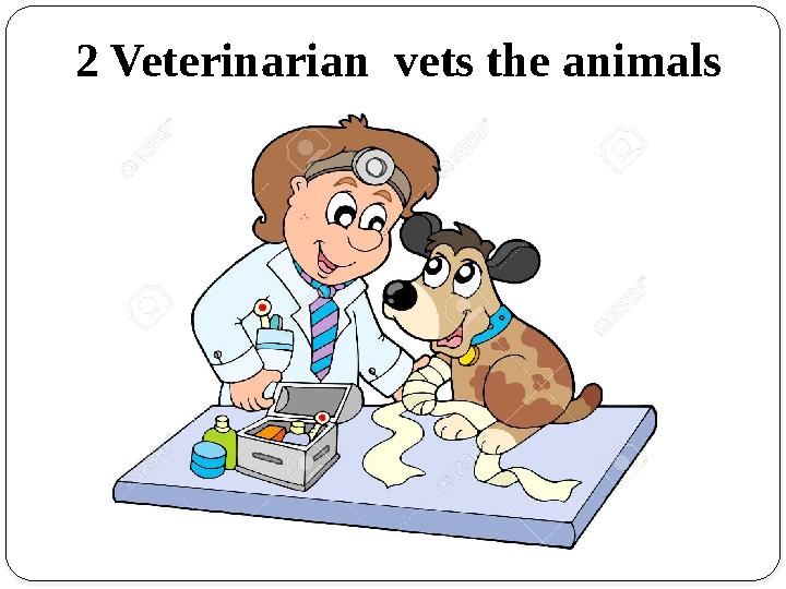 2 Veterinarian vets the animals
