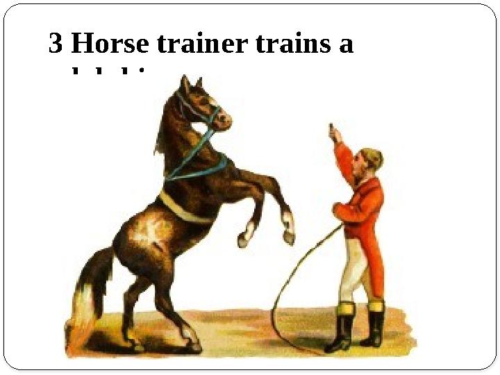 3 Horse trainer trains a dolphin