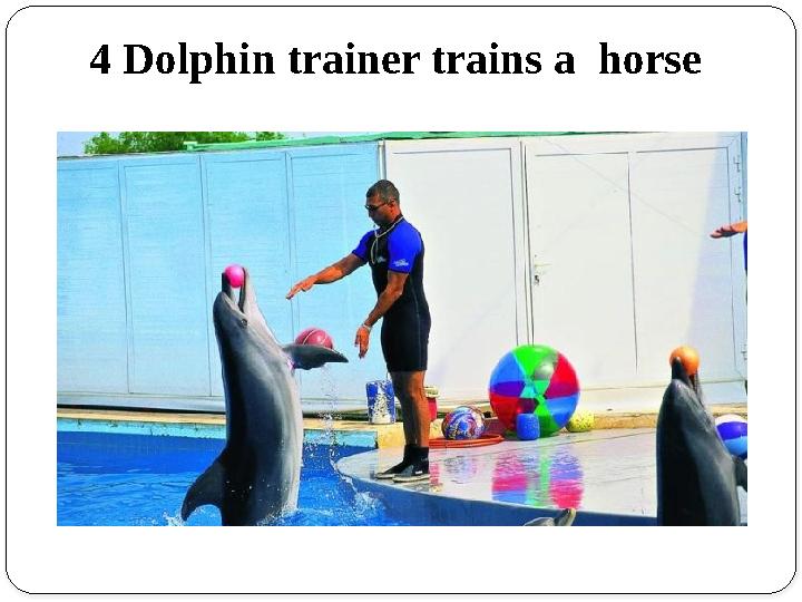 4 Dolphin trainer trains a horse