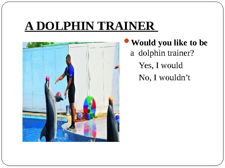 A DOLPHIN TRAINER Would you like to be a dolphin trainer? Yes, I would No, I wouldn’t