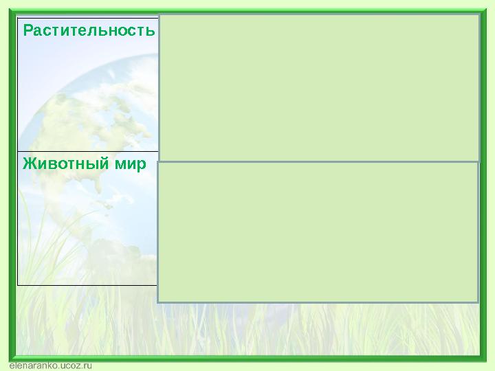 РастительностьЗлаки и разнотравье: ковыль, перистый типчак, пырей ползучий, тимофеевка, кострец безостый, морковник. Деревья: