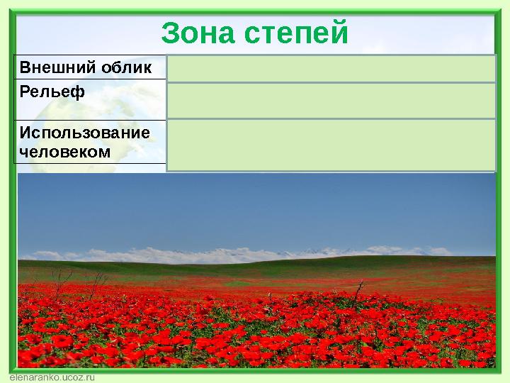 Зона степей Внешний облик Безлесная зона Рельеф Равнинный, слабо-холмистый Использование человеком Зерновое земледелие, скотово