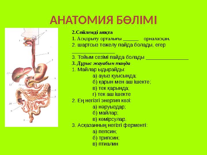 АНАТОМИЯ БӨЛІМІ 2.Сөйлемді аяқта 1. Асқорыту орталығы ______ орналасқан. 2. шартсыз тежелу пайда болады, егер ______