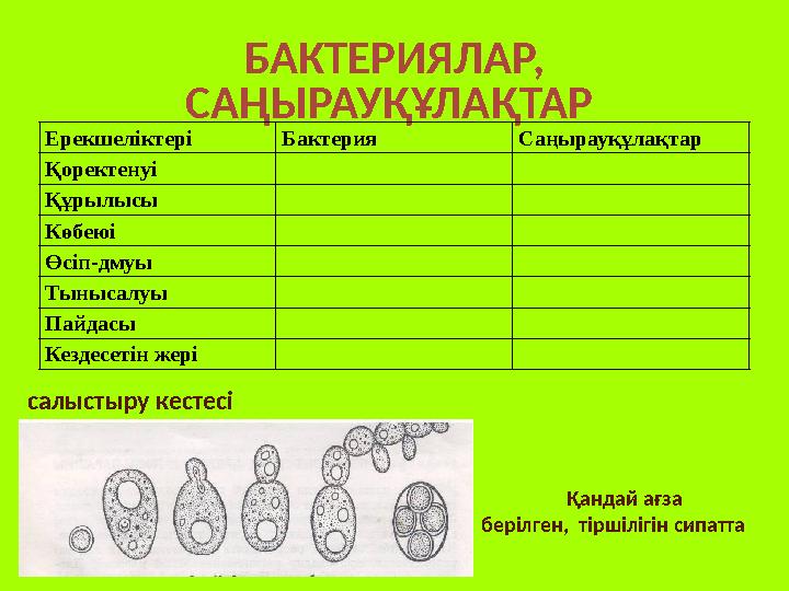 БАКТЕРИЯЛАР, САҢЫРАУҚҰЛАҚТАР салыстыру кестесі Ерекшеліктері Бактерия Саңырауқұлақтар Қоректенуі Құрылысы Көбеюі Өсіп-