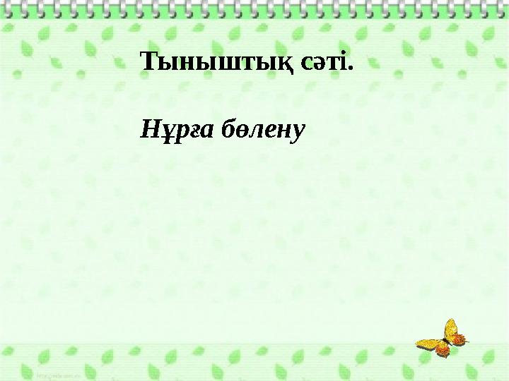 Тыныштық сәті. Нұрға бөлену