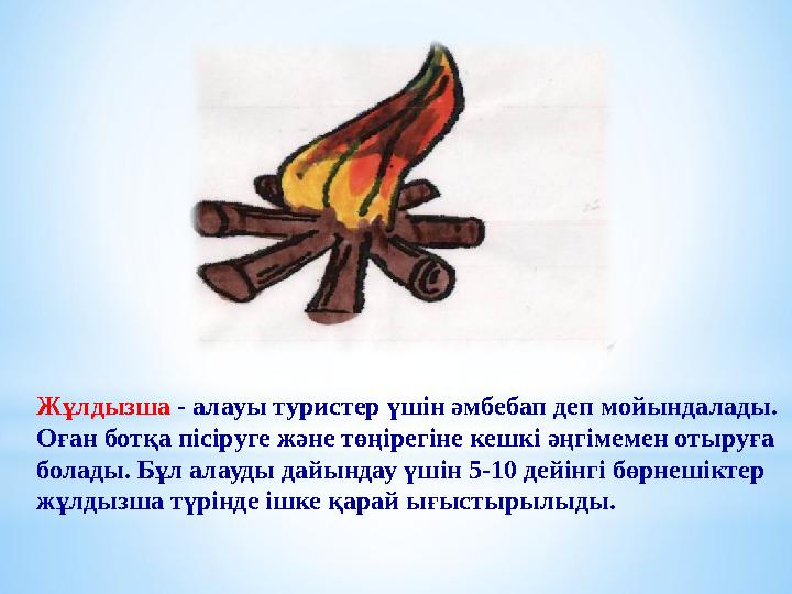 Жұлдызша - алауы туристер үшін әмбебап деп мойындалады. Оған ботқа пісіруге және төңірегіне кешкі әңгімемен отыруға болады. Бұл