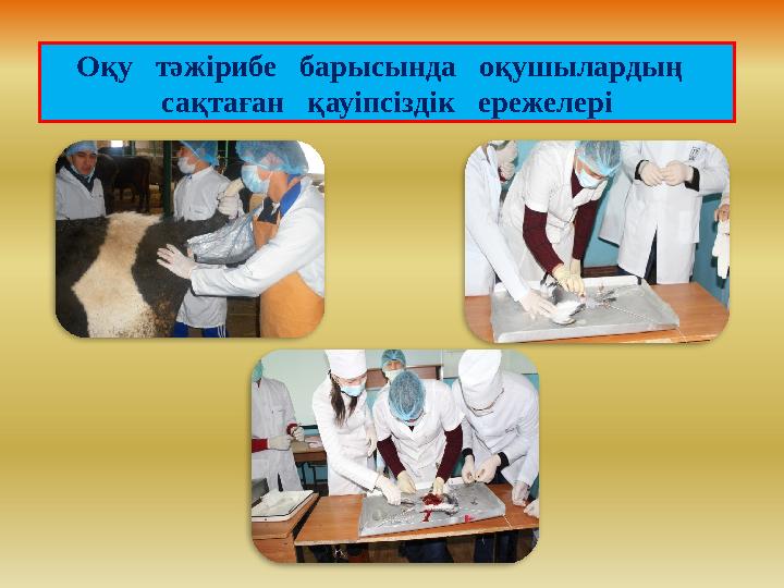 Оқу тәжірибе барысында оқушылардың сақтаған қауіпсіздік ережелері
