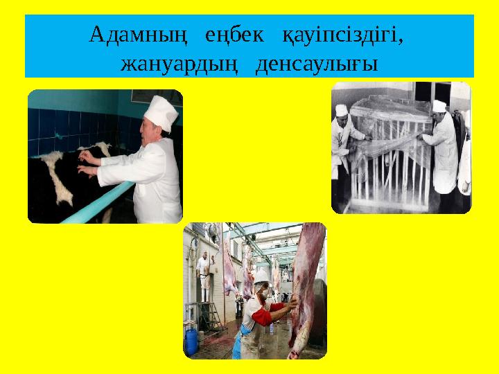 Орыс транспорносы Үлкен кеудеге арналған слайд-шоу