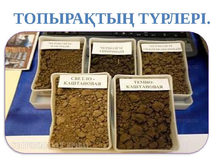 ТОПЫРАҚТЫҢ ТҮРЛЕРІ.