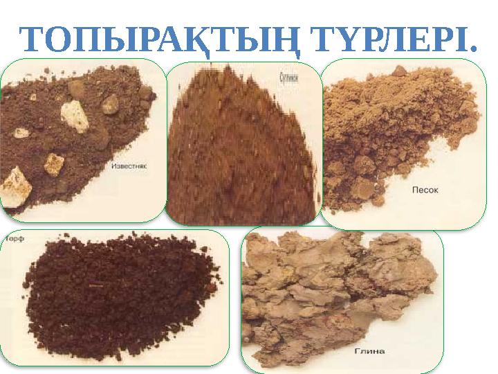 ТОПЫРАҚТЫҢ ТҮРЛЕРІ.