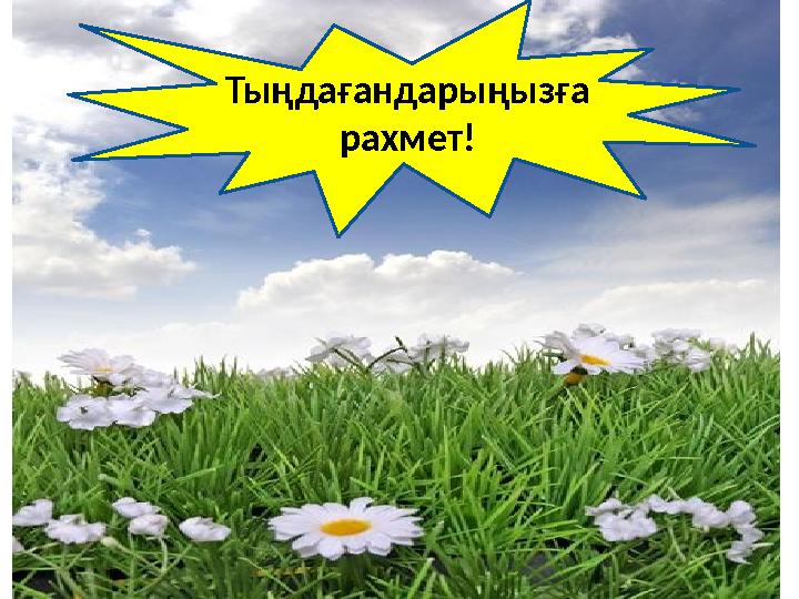 Тыңдағандарыңызға рахмет!