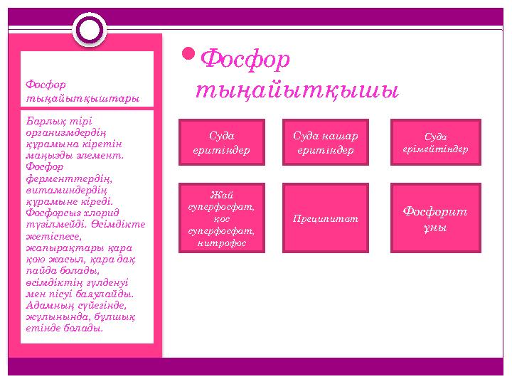 Фосфор тыңайытқыштары Барлық тірі организмдердің құрамына кіретін маңызды элемент. Фосфор ферменттердің, витаминдерді