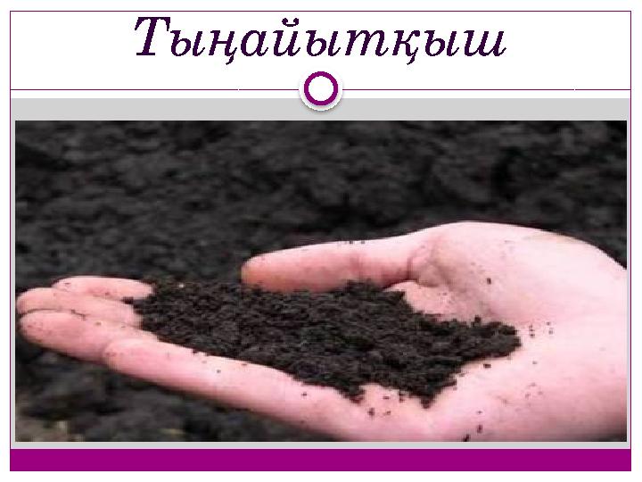 Тыңайытқыш