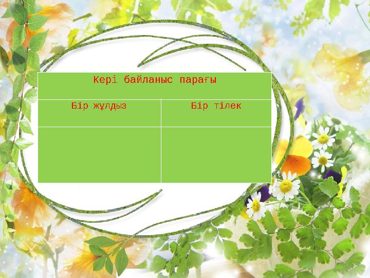 Кері байланыс парағы Бір жұлдыз Бір тілек