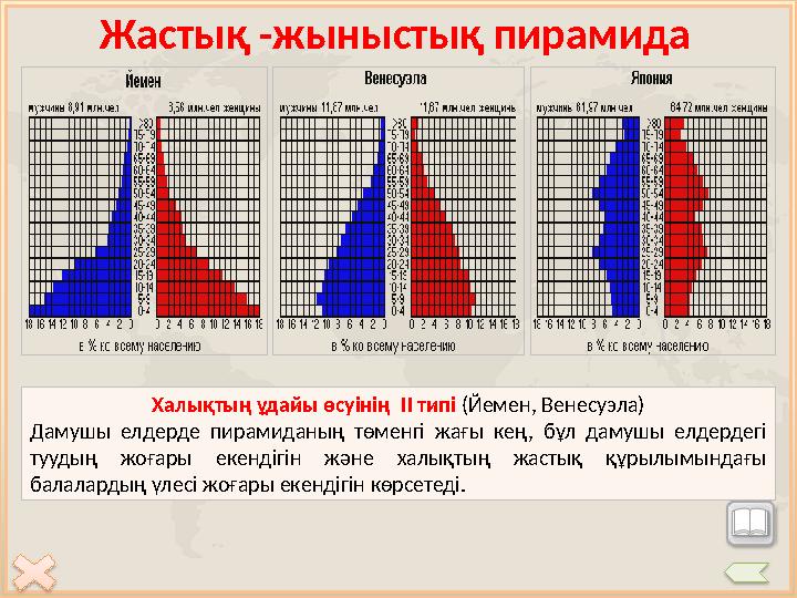 Жасты қ -жыныстық пирамида Халықтың ұдайы өсуінің I типі (Жапония) Дамыған елдерде пирамиданың төменгі жағы тар бол