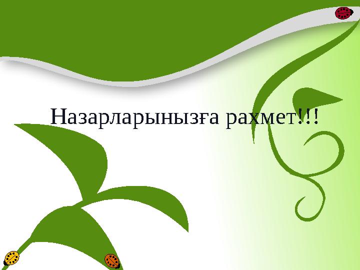 Назарларыныз ға рахмет!!!