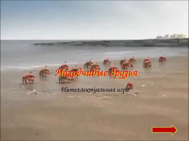 img_page_1