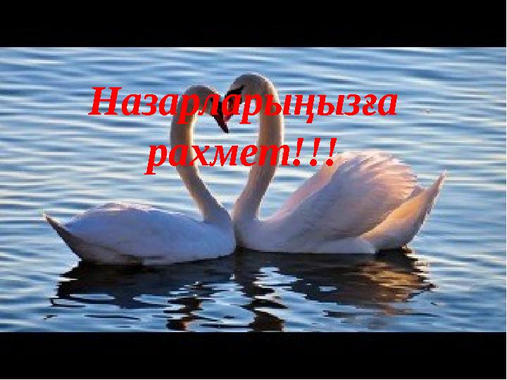 Назарларыңызға рахмет!!!