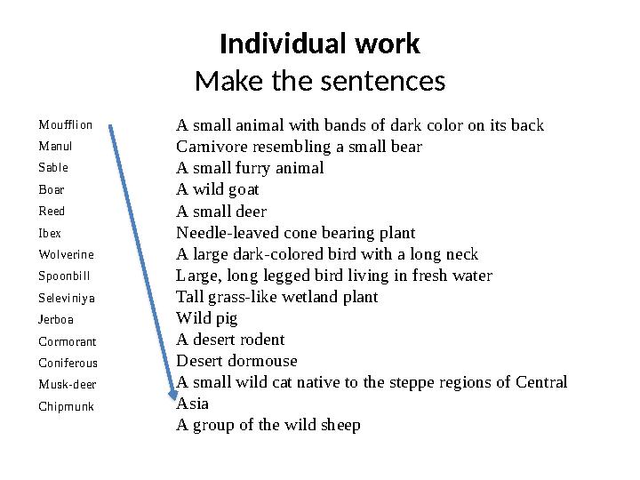 Individual work Make the sentences Moufflion Manul Sable Boar Reed Ibex Wolverine Spoonbill Seleviniya Jerboa Cormorant Conifero