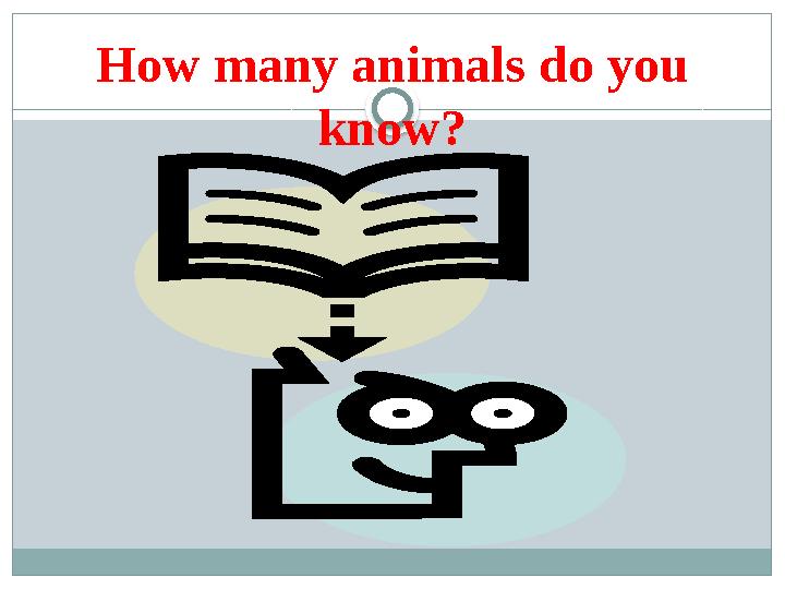 How many animals do you know?