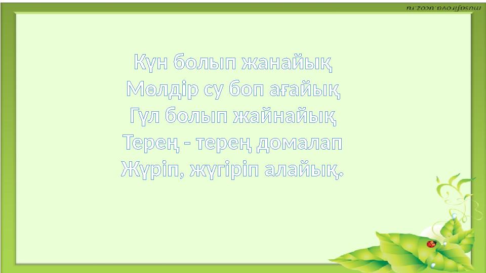 Мас күйдегі туған күн қызының видеосы