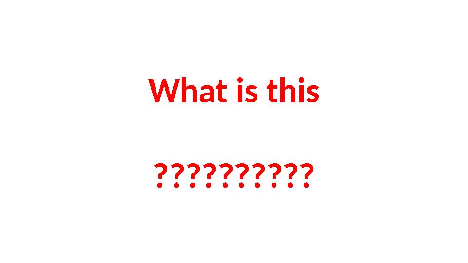 What is this ??????????