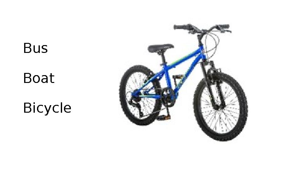 Bus Boat Bicycle