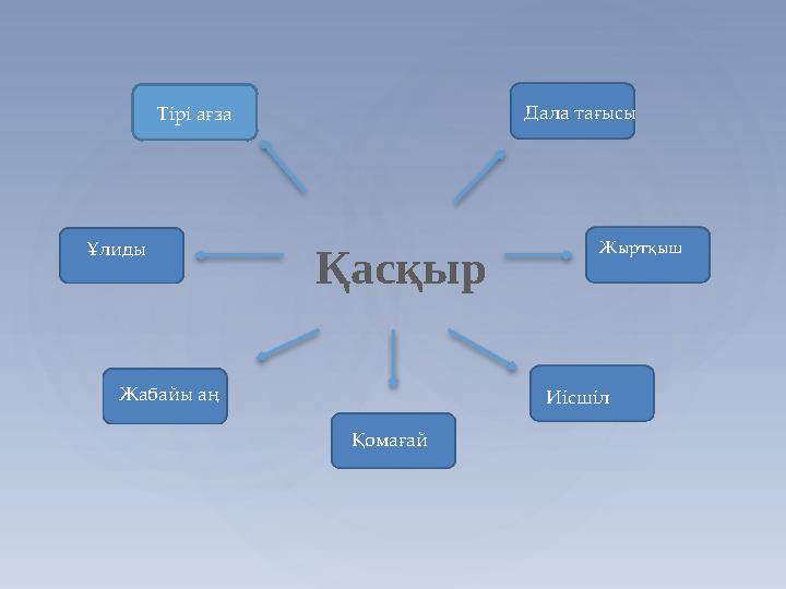 Қасқыр Тірі ағза Дала тағысы Жыртқыш Иісшіл Қомағай Жабайы аң Ұлиды