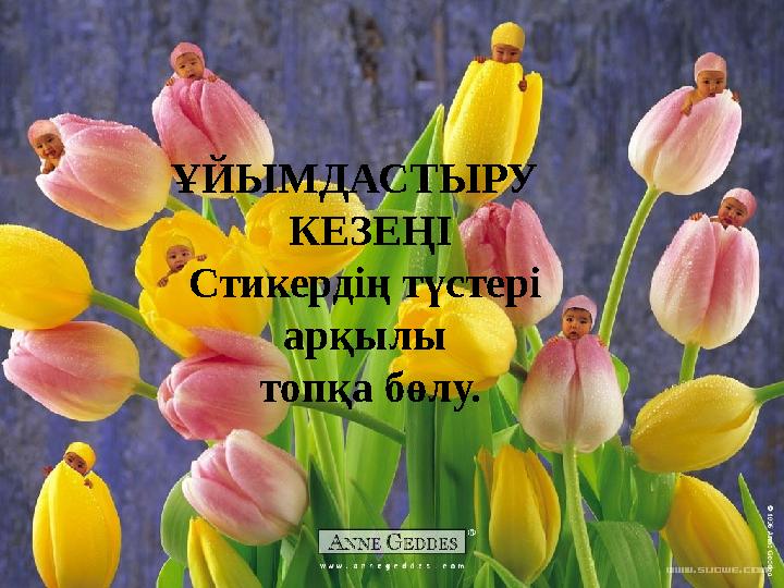 ҰЙЫМДАСТЫРУ КЕЗЕҢІ Стикердің түстері арқылы топқа бөлу.