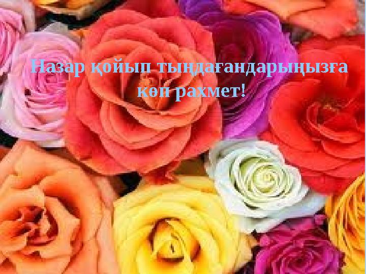 Назар қойып тыңдағандарыңызға көп рахмет!