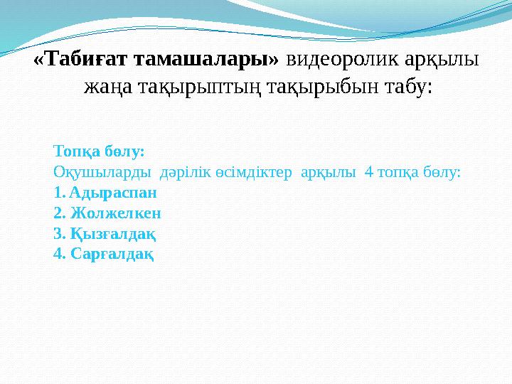 «Тaбиғaт тaмашалapы» видеоролик арқылы жаңа тақырыптың тақырыбын табу: Топқа бөлу: Оқушылаpды дәрілік өcімдіктеp аpқылы 4 т