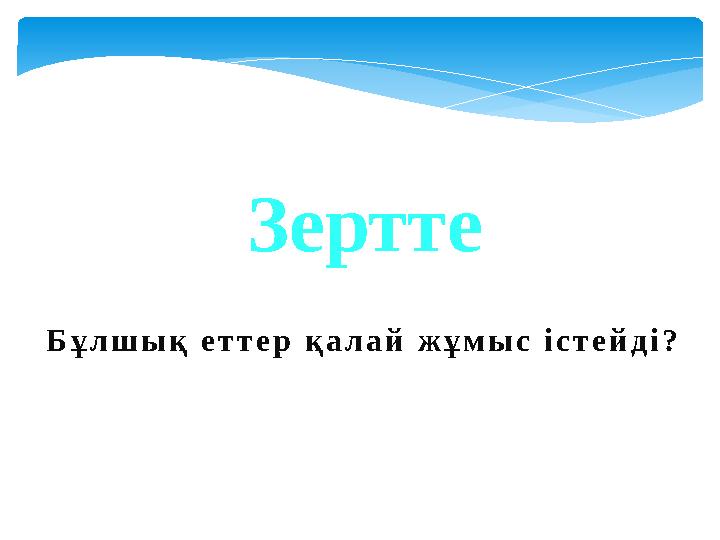 Зертте Бұлшық еттер қалай жұмыс істейді?