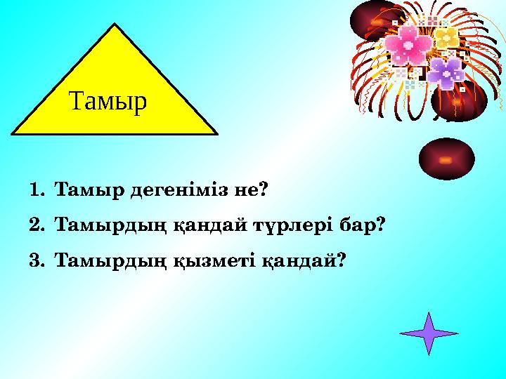 Тамыр 1. Тамыр дегеніміз не? 2. Тамырдың қандай түрлері бар? 3. Тамырдың қызметі қандай?