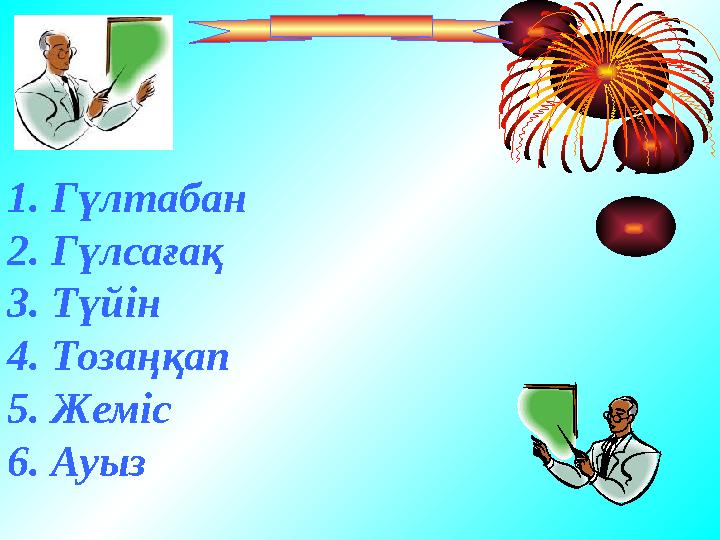 1. Гүлтабан 2. Гүлсағақ 3. Түйін 4. Тозаңқап 5. Жеміс 6. Ауыз