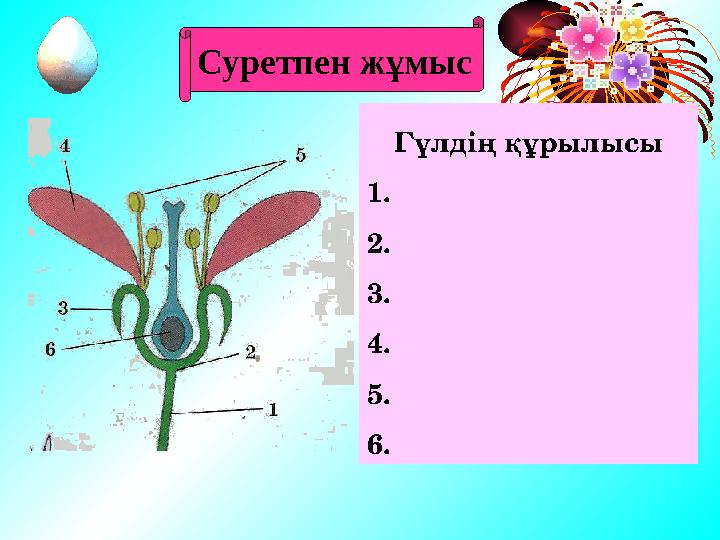 Суретпен жұмыс Гүлдің құрылысы 1. 2. 3. 4. 5. 6.