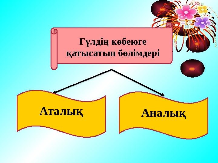 Гүлдің көбеюге қатысатын бөлімдері Аталық Аналық