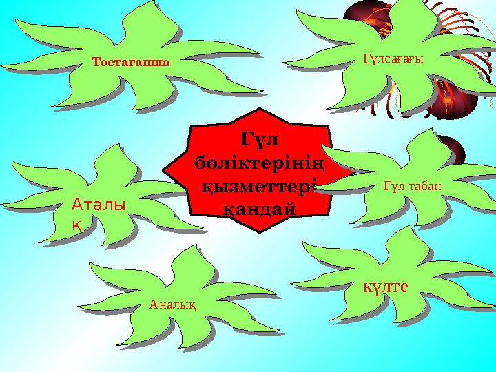 ТостағаншаТостағанша ГүлсағағыГүлсағағы Аталы қАталы қ күлтекүлте АналықАналық Гүл бөліктерінің қызметтері қандай Гүл табанГү