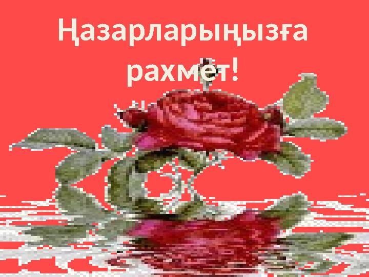 Ңазарларыңызға рахмет!