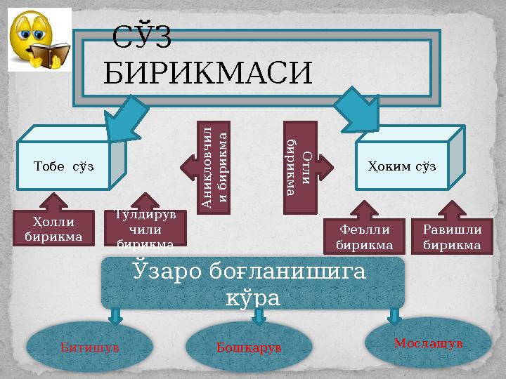 СЎЗ БИРИКМАСИ Ҳоким сўзТобе сўз Ўзаро боғланишига кўра Битишув Бошқарув МослашувҲолли бирикма Тўлдирув чили бирикмаА н и