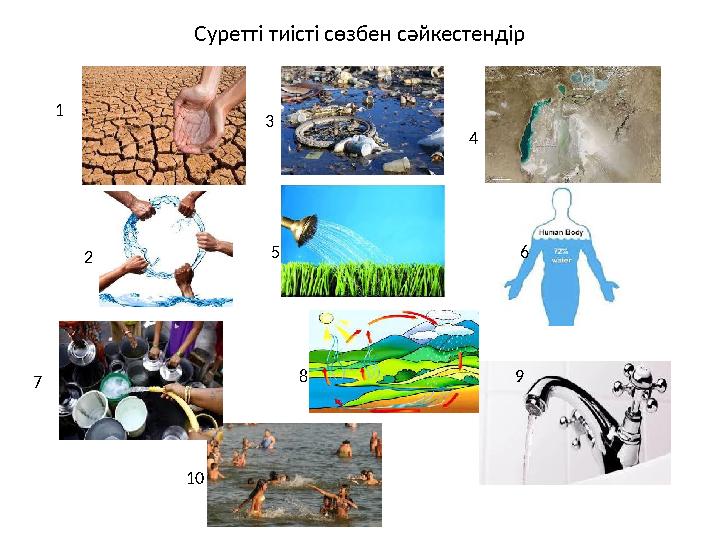Суретті тиісті сөзбен сәйкестендір 1 2 3 4 5 6 7 8 9 10