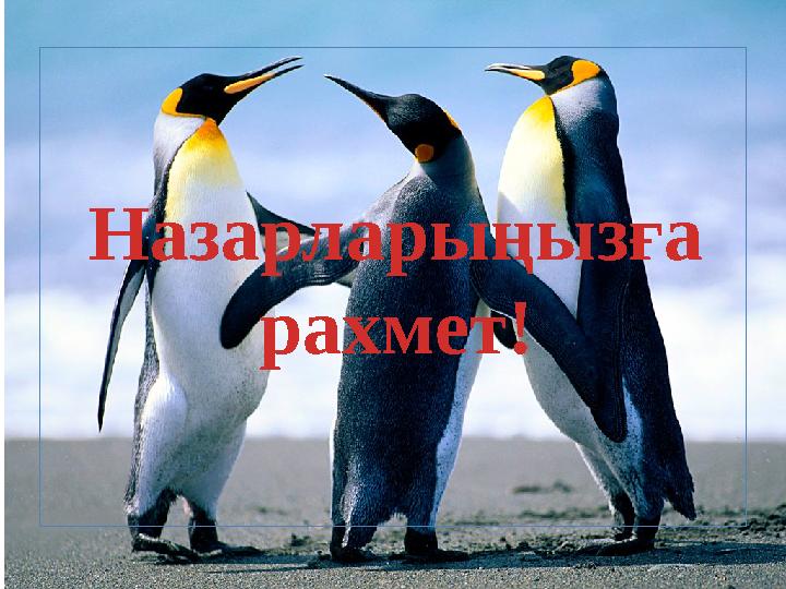 Назарларыңызға рахмет!