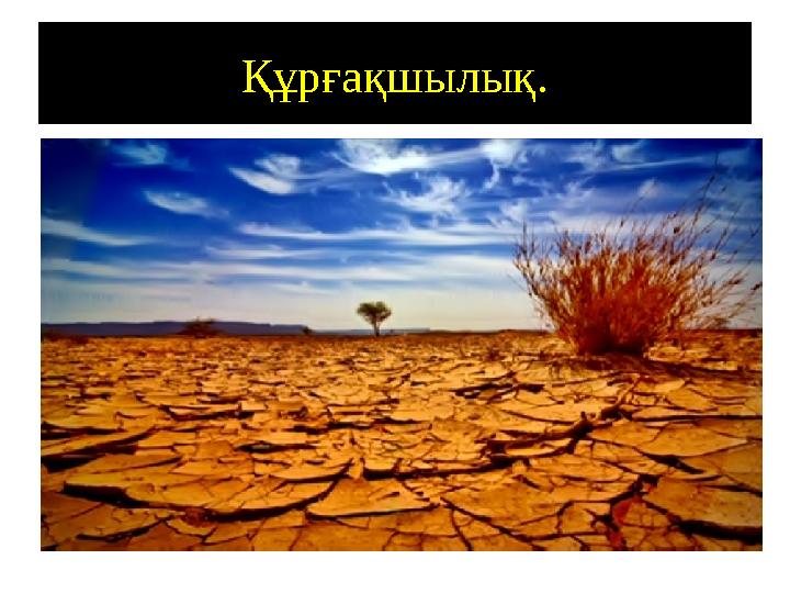 Құрғақшылық.