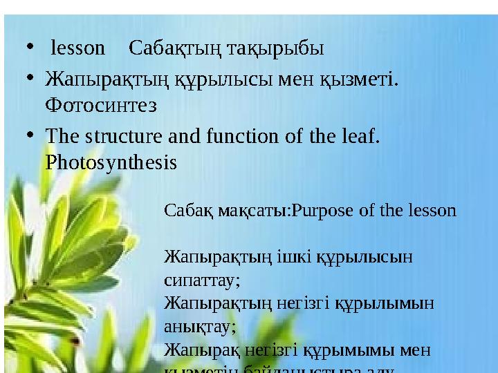 Қыздар сиқыған кезде ауырғаннан жылайды