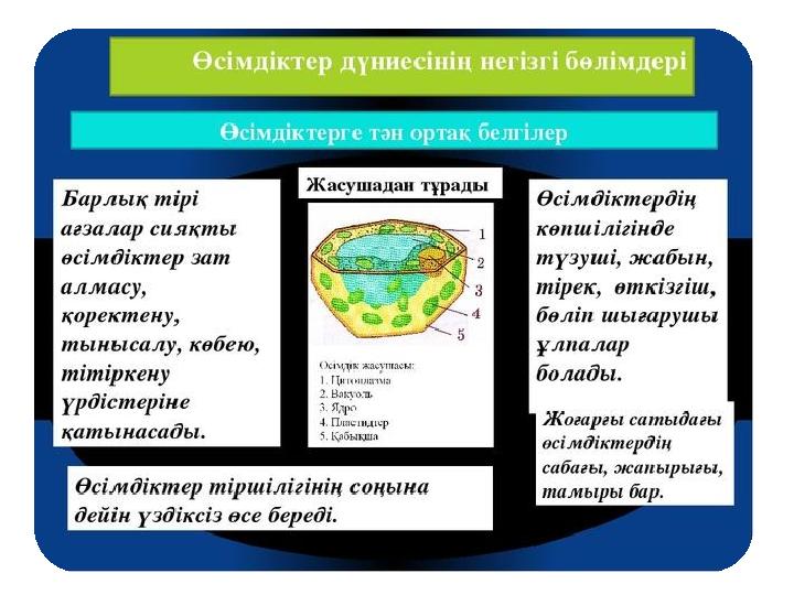 •суреттер
