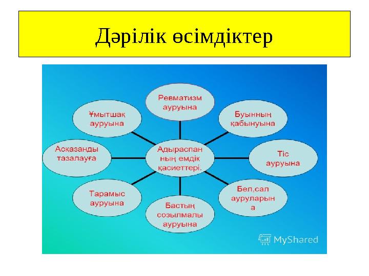 Дәрілік өсімдіктер