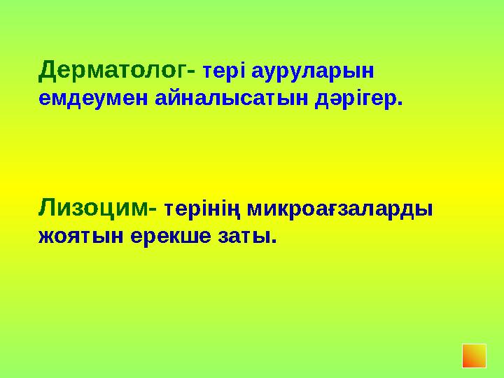 Дерматолог- тері ауруларын емдеумен айналысатын дәрігер. Лизоцим- терінің микроағзаларды жоятын ерекше заты.