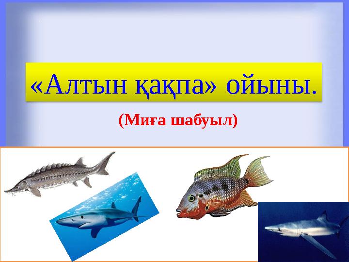 «Алтын қақпа» ойыны. (Миға шабуыл)