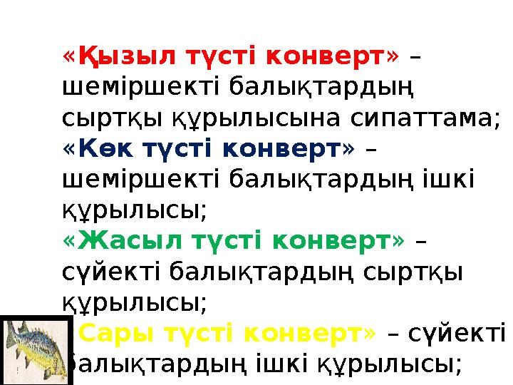 «Қызыл түсті конверт » – шеміршекті балықтардың сыртқы құрылысына сипаттама; «Көк түсті конверт» – шеміршекті балықтардың ішк