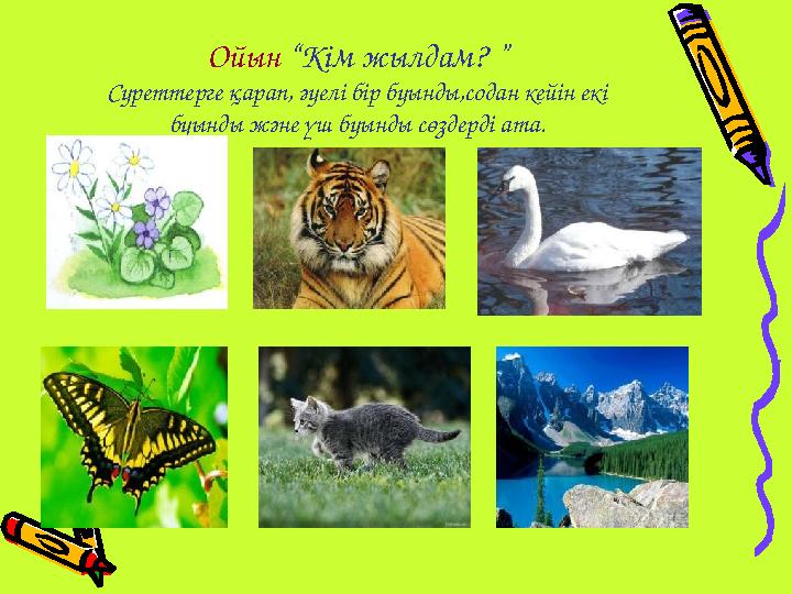 Ойын “Кім жылдам? ” Суреттерге қарап, әуелі бір буынды,содан кейін екі буынды және үш буынды сөздерді ата.